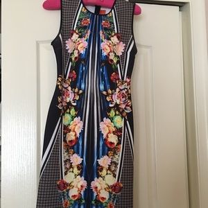 Clover Canyon Dress